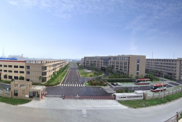 案例展示